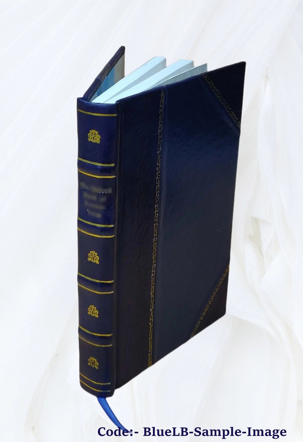 1916 Leather Bound A533