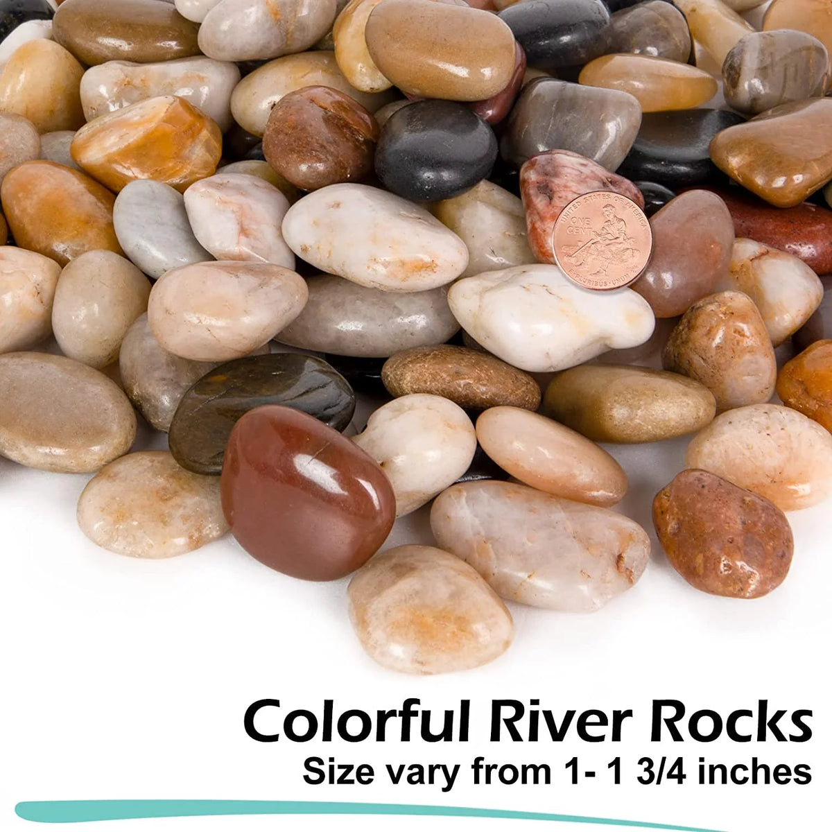 15 Pounds Polished River Rocks 1 to 1 3/4 Inch C728021