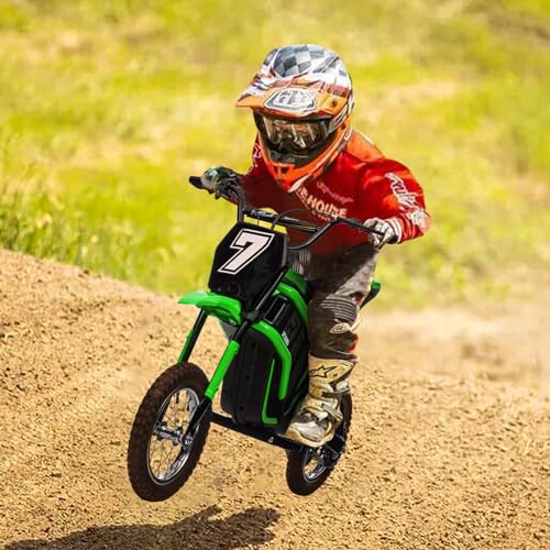 24V Electric Dirt Bike 350W Motor 14.29 MPH Dual Suspension R872759