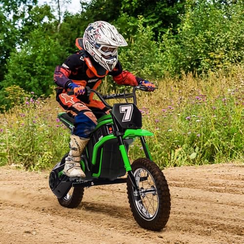 24V Electric Dirt Bike 350W Motor 14.29 MPH Dual Suspension R872759
