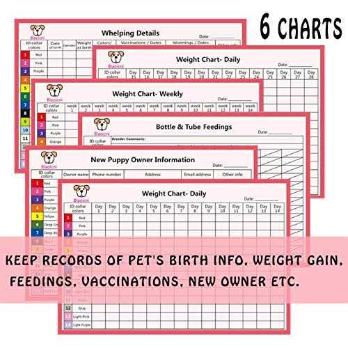 14PCS Soft Nylon Adjustable Breakaway Puppy ID Collar E8082