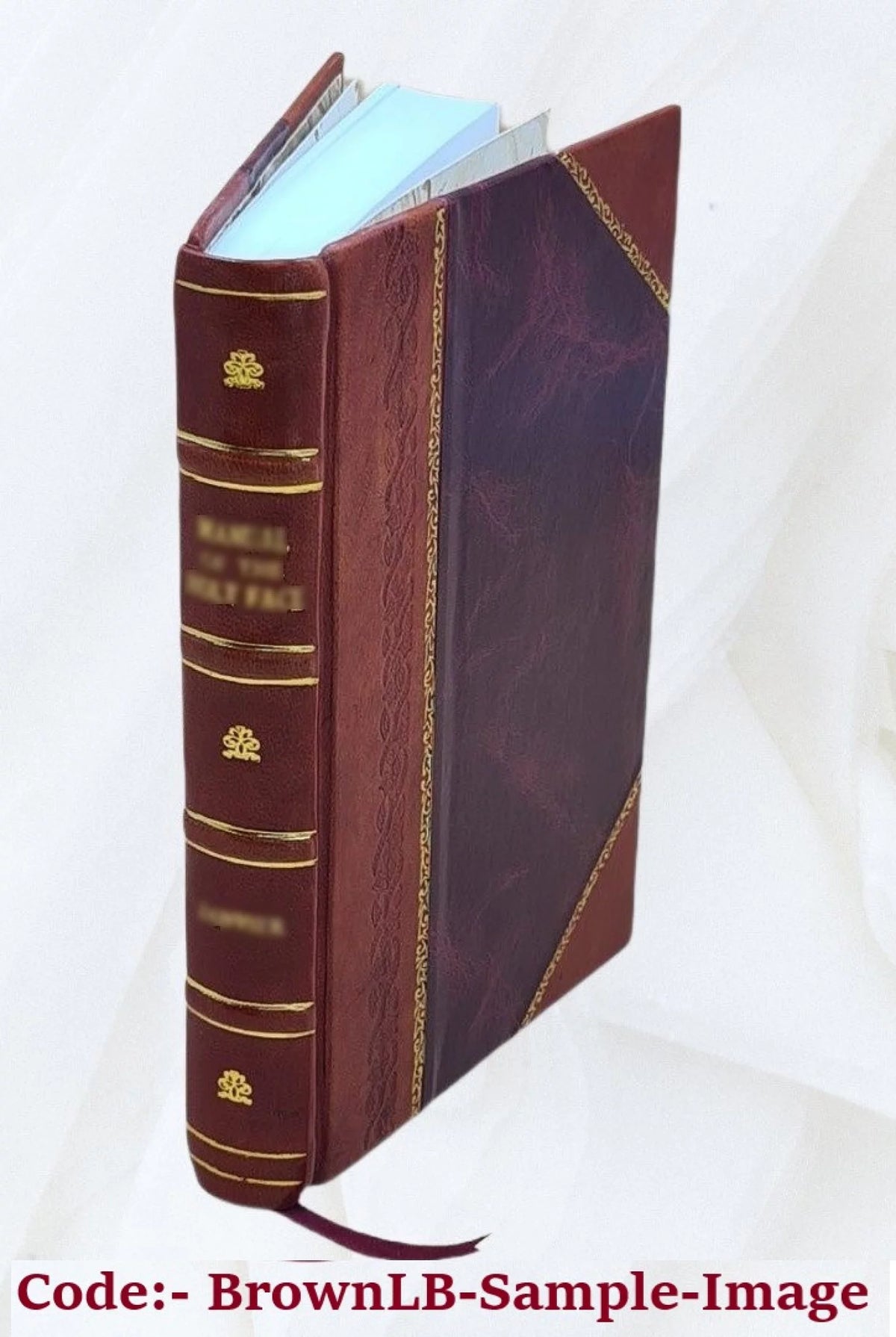 1916 Leather Bound A533