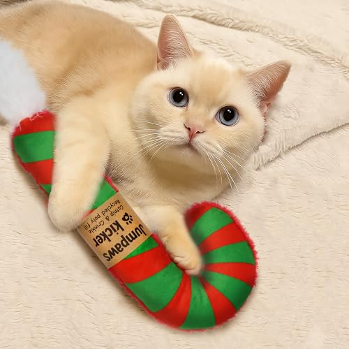 2 Pack Natural Catnip Cat Kicker Toys I733