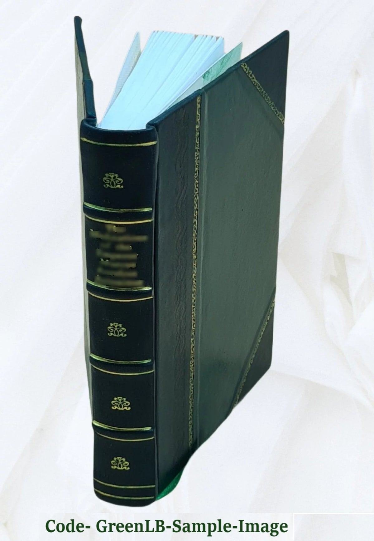 1916 Leather Bound A533