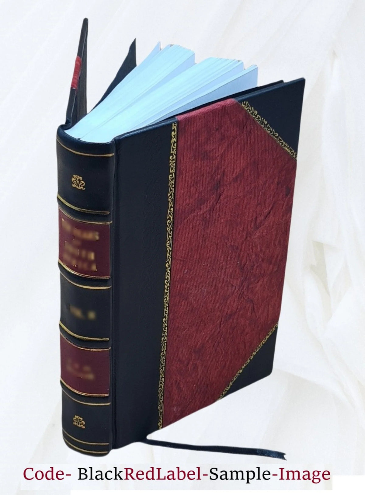 1916 Leather Bound A533